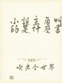 小说主角叫林凡的是什么书