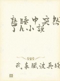 熟睡中突然被进了h小说
