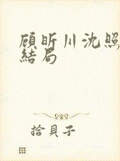 顾昕川沈照微大结局封面