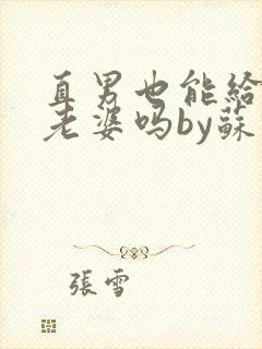 直男也能给人当老婆吗by苏晨笔趣阁