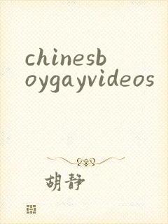 chinesboygayvideos