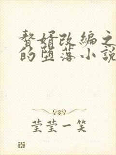 赘婿改编之众女的堕落小说结局