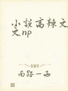 小说高辣文高h文np
