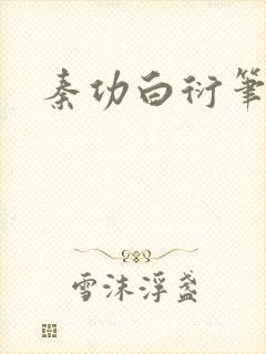 秦功白衍笔趣阁