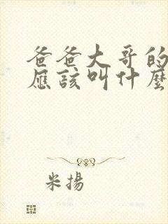 爸爸大哥的老婆应该叫什么