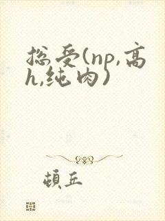 总受(np,高h,纯肉)