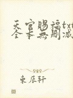 天官赐福txt全本无删减下载