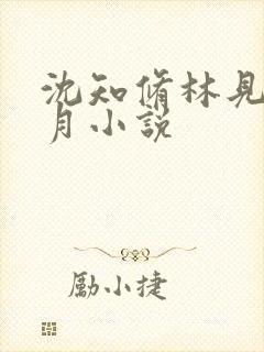 沈知修林见微江月小说封面