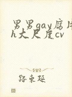 男男gay腐片h大尺度cv