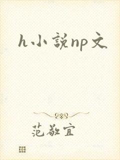 h小说np文