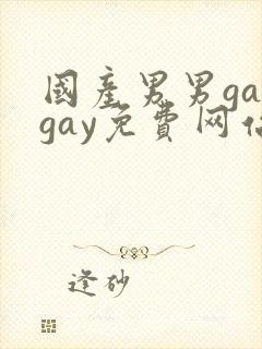 国产男男gaygay免费网站封面