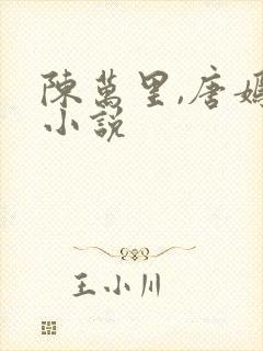陈万里,唐嫣然小说