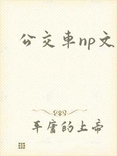 公交车np文h