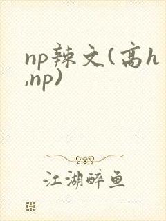 np辣文(高h,np)