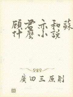 顾君亦和苏杳是什么小说