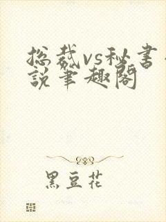 总裁vs秘书小说笔趣阁