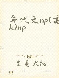 年代文np(高h)np封面