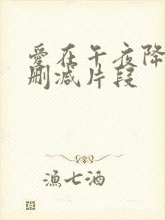 爱在午夜降临前删减片段封面