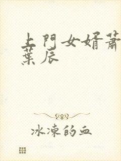 上门女婿萧初然叶辰