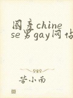 国产chinese男gay网站