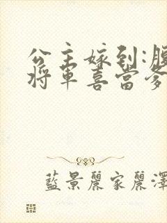 公主嫁到:腹黑将军喜当爹在线小说