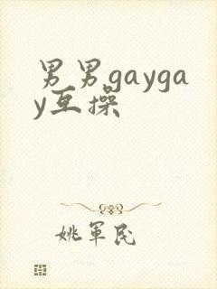 男男gaygay互操