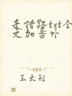 走错路txt全文加番外封面