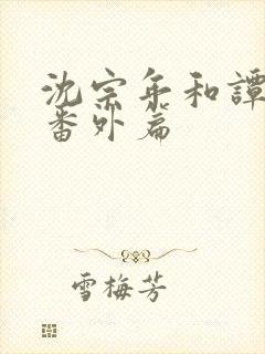 沈宗年和谭又明番外篇