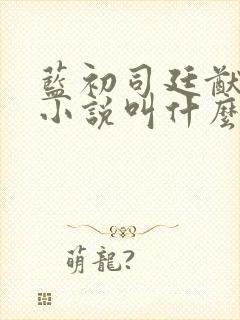 蓝初司廷猷原著小说叫什么名字封面