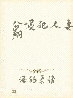 公侵犯人妻西野翔封面