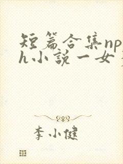 短篇合集np高h小说一女多男封面