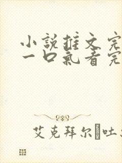 小说推文完结版一口气看完超级好看
