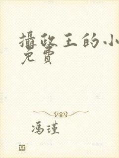 摄政王的小闲妻免费封面