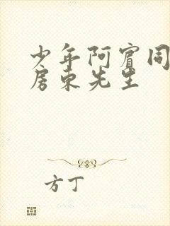 少年阿宾同人之房东先生封面