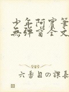 少年阿宾笔趣阁无弹窗全文免费阅读