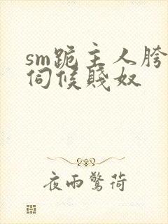 sm跪主人胯下伺候贱奴
