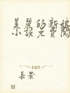 美丽的新娘阿龟小说免费阅读