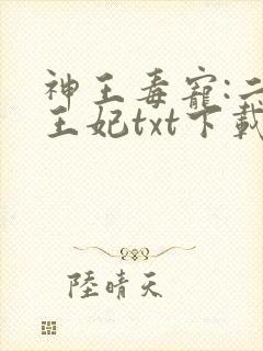 神王毒宠:二嫁王妃txt下载