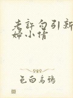 老许勾引新婚少妇小倩