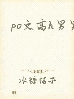 po文高h男男