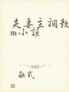 夫妻主调教 sm小说