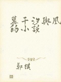 慕千汐与凰九夜的小说
