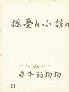 总受h小说np