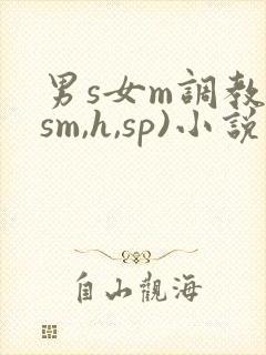 男s女m调教(sm,h,sp)小说