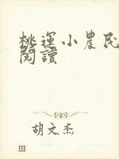 桃运小农民全文阅读封面