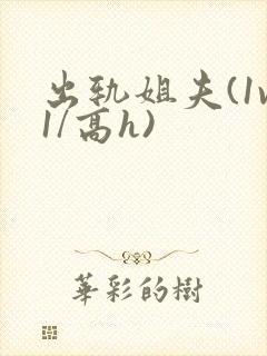 出轨姐夫(1v1/高h)封面