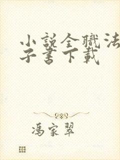 小说全职法师电子书下载封面