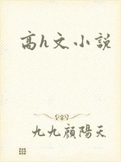 高h文小说