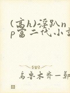 (高h)淫趴np富二代小说