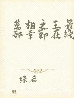 万相之王最新全部章节在线阅读免费
